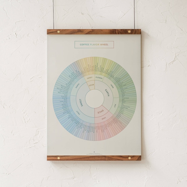 Coffee Flavor Wheel Chart Print, Coffee Flavors Infographic Poster, Colorful Wall Art Diagram for Coffee Lovers by Goldleaf