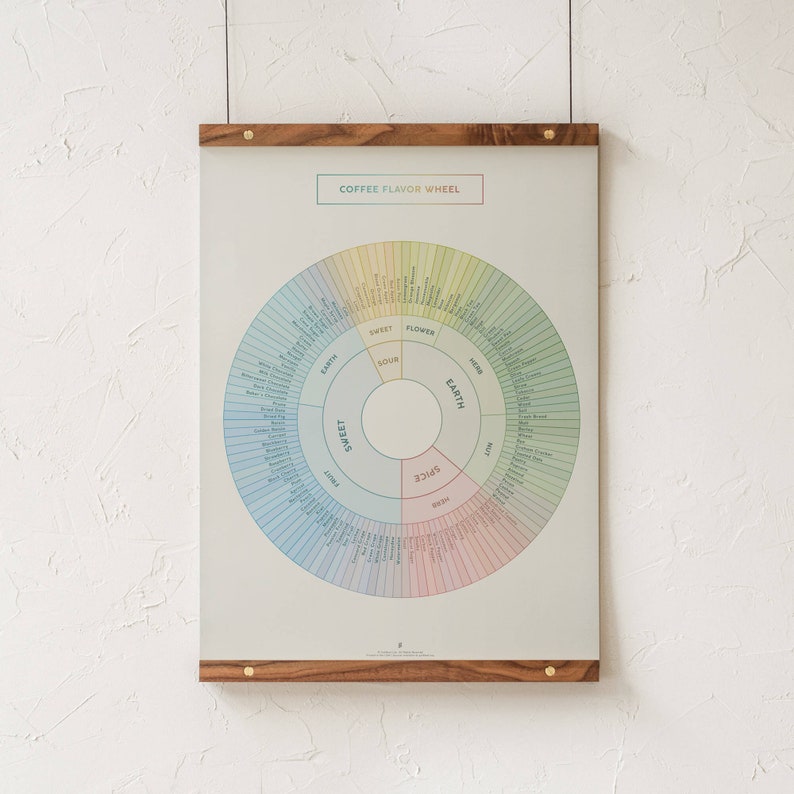 Coffee Flavor Wheel Chart Print Coffee Flavors Infographic Etsy