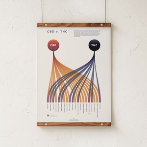 Vergelijkingstabel CBD versus THC, infographic print algemene cannabinoïde, cannabisposter, modern apotheekdecor van Goldleaf
