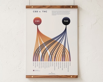 Tabla comparativa de CBD y THC, infografía de cannabinoides comunes, póster de cannabis, decoración moderna para dispensarios de Goldleaf