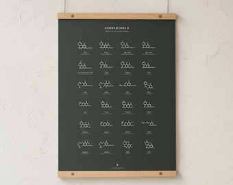 Diagrama de estructuras moleculares de cannabinoides, lámina artística sobre la química del cannabis, póster educativo sobre la marihuana, arte mural minimalista de Goldleaf