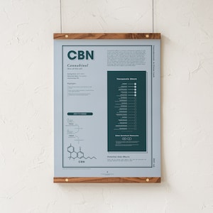 CBN: A Cuter Look Print, Cannabinoid Infografik, Cannabinol medizinisches Cannabis Lernposter, Apothekenwandkunst von Goldleaf