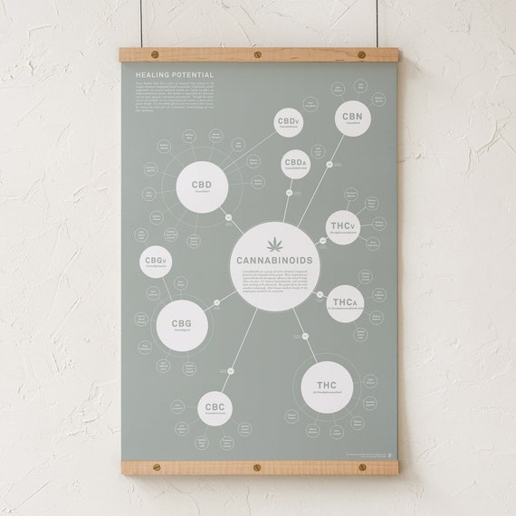 Cannabinoid Chart