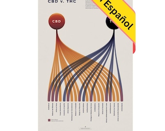 Cuadro Comparativo de CBD y THC, Infografía Impresa Sobre Cannabinoides, Póster Sobre Cannabis, Decoración Moderna para Tiendas de Goldleaf