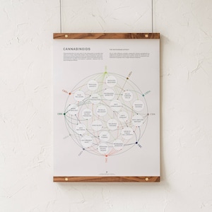 Matrixgrafiek gezondheid cannabinoïde, medische marihuana-infographic print, CBD en THC, decor cannabiseducatie en apotheek van bladgoud