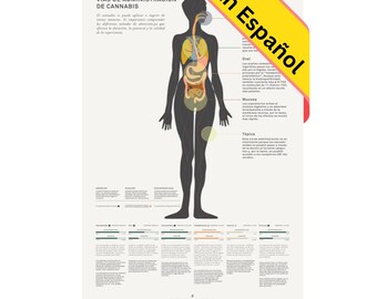 Impresión Infografía Sobre Métodos de Administración de Cannabis, Información Sobre Marihuana Medicinal, Póster Educativo de Goldleaf.