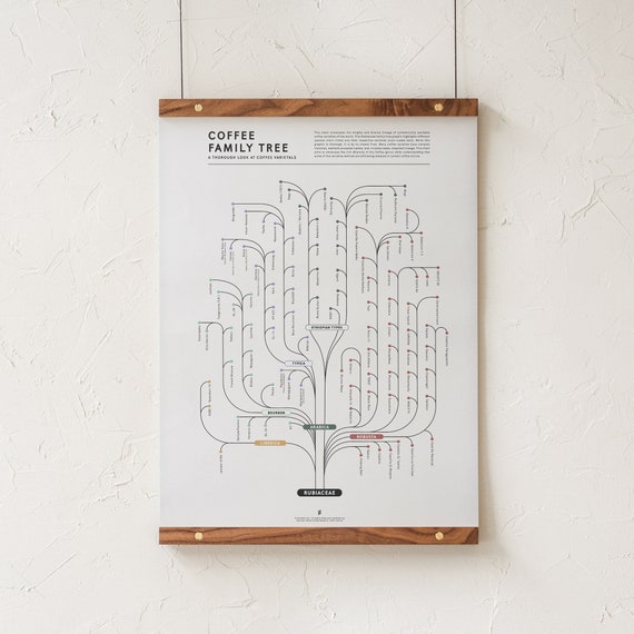 Coffee Family Tree Print, Coffee Varieties Chart, Rubiaceae