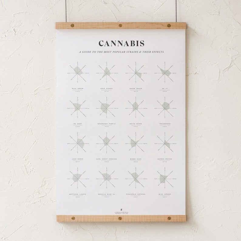 Cannabis Effects Wheel Infographic Print Marijuana Effects - Etsy