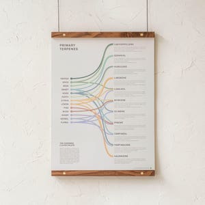Primaire terpenen: cannabissmaken infographic grafiekprint, cannabisterpeen kunst aan de muur, marihuanakunst, moderne educatieve poster van bladgoud