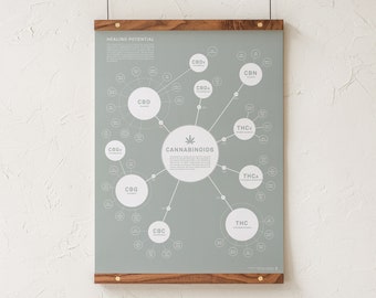Chart of Cannabinoids Print, Cannabinoid Effects Infographic Poster, Medical Marijuana Art Print, Educational Poster by Goldleaf