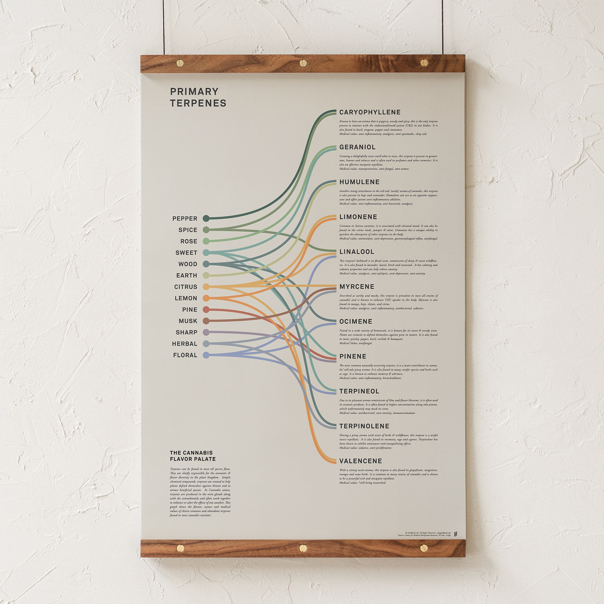 terpenes tobacco Cannabis Terpenes Chart Print: Flavors & Medical Benefits