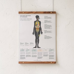Infographicprint leveringsmethoden van cannabis, informatiekaart medische marihuana aan de muur, educatieve poster van Goldleaf