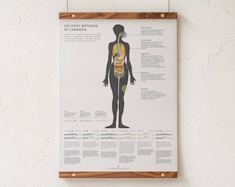 Impresión infográfica sobre métodos de administración de cannabis, cuadro informativo sobre marihuana medicinal, póster educativo de Goldleaf