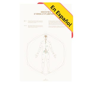 Può includere: Un poster infografico bianco con una figura umana al centro. La figura è circondata da uno schema geometrico e ha piccoli punti sul corpo. Il poster è intitolato "El Sistema Endocannabinoide" in spagnolo.