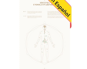 Mapa del Sistema Endocannabinoide, Ilustración de la Anatomía del ECS, Educación Sobre la Marihuana, Gráfico de Receptores de Goldleaf