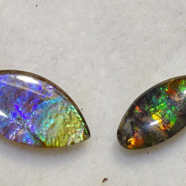 Ammolite, cabochons de qualité Extra, magnifique spécimen du coquillage Placenticeras, irisation naturelle arc en ciel, parfait en bague !!!