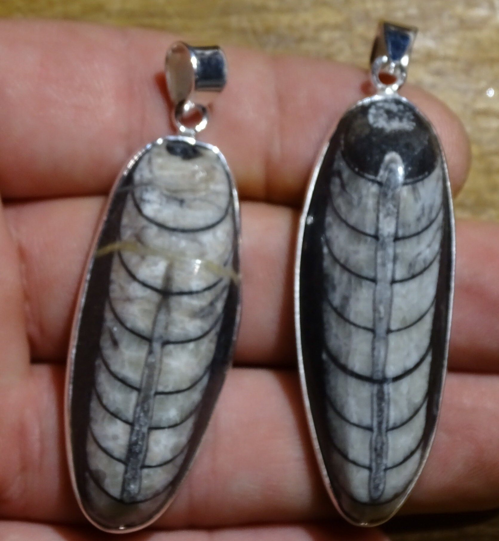 Pendentif Fossile', Orthoceras, Très Belles Pièces Fossilisées Montées sur Argent 0.925, 2 Au Choix,