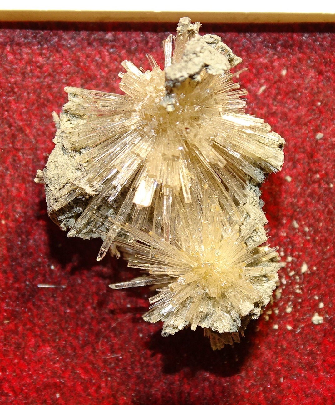 Scolécite, Pièce d'une Ancienne Collection, 2 X cm, Aiguille Naturelle Fine et Cristalline, Incroyab