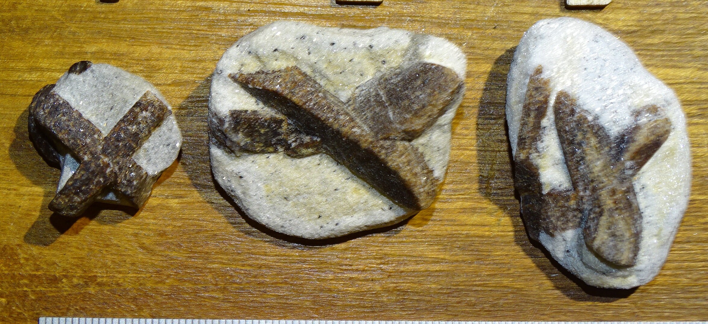 staurotide sur Gangue/ Macle. Provenance Pestsovye Keivy, Russie. Dimension Environ 4 cm. Spécimen P