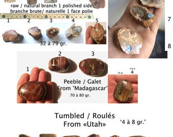 Fossilized wood 2 / pebbles rolled + natural