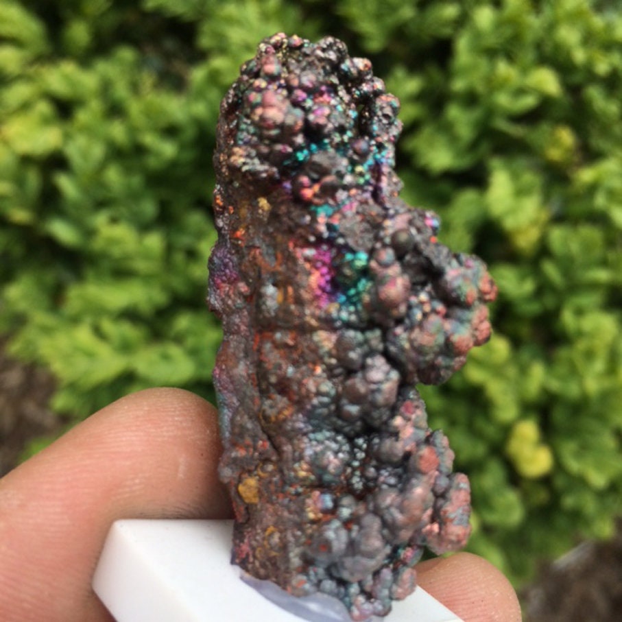 Goétite ou Goéthite, Naturelle, Spécimen Multicolor, Incroyables Nuances de Couleurs, 5 cm X 2 2. Pr