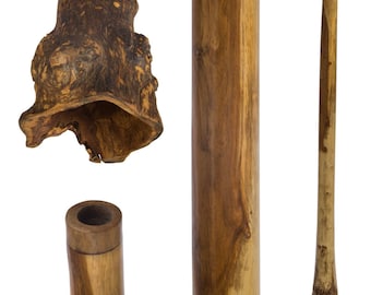 Didgeridoo root made from eucalyptus Yellowbox or Redwood, treated with linseed oil, about 1.50 depending on arrival, very good quality!