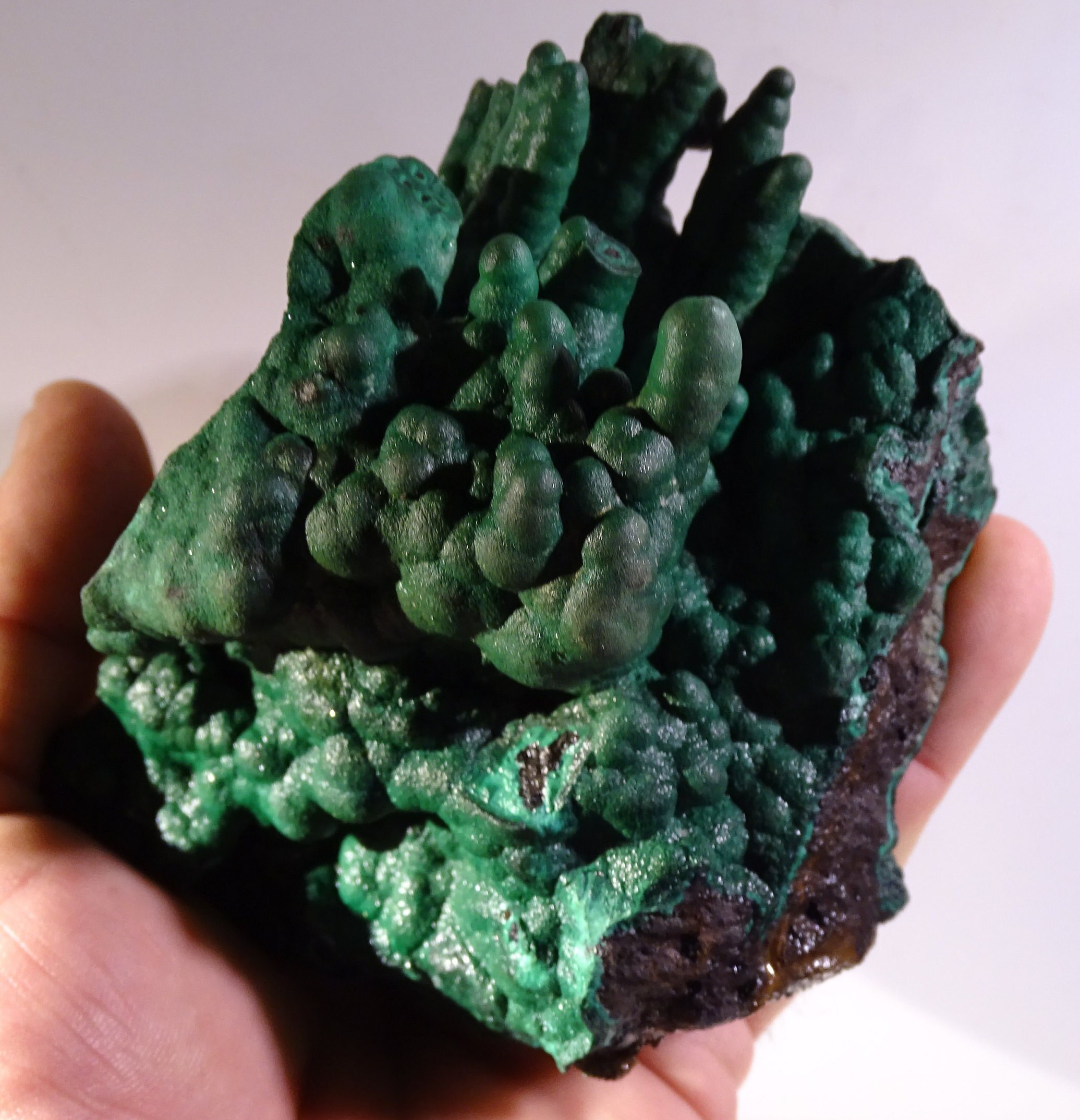 Malachite, Specimen Rare de Forme Naturelle /B Rutes, Qualité Extra. Surprenante Pièce A L'effet Fou