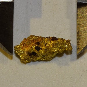 Pépite d'or natif d'Australie, mine Laverton, très pure et très belle brillance, 1,64 grammes, 14 x6 x6 mm ,pour bijoux, collection, expo image 3