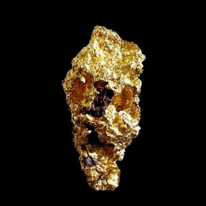 Pépite d'or natif d'Australie, mine Laverton, très pure et très belle brillance, 1,64 grammes, 14 x6 x6 mm ,pour bijoux, collection, expo image 1