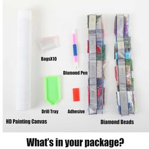 May include: An assortment of diamond painting supplies, including a white tube labeled "HD Painting Canvas", bags of diamond beads, a pink and blue diamond pen, a green drill tray, and a small red adhesive square. The text "What's in your package?" is at the bottom.
