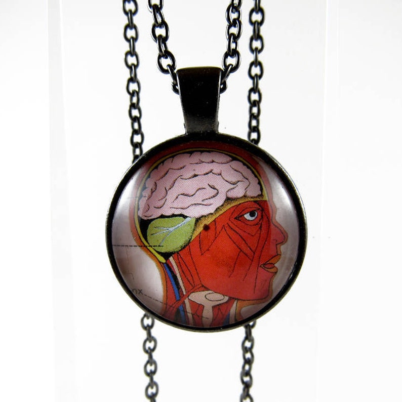 FREE SHIPPING Human Anatomy Necklace Anatomy Jewelry Human Etsy