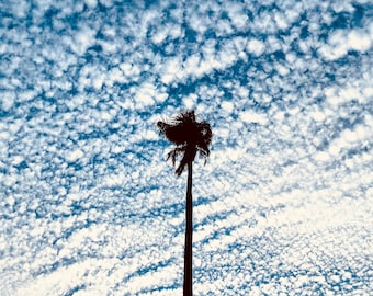 Cirrocumulus