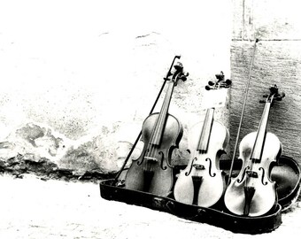 Trio