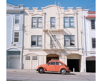 S.F. Bug