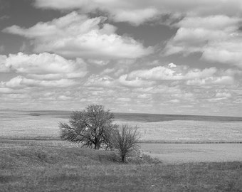Plaines du Kansas