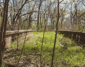 Pont abandonné