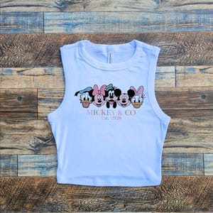 Pastel Mickey Co Tank, Disney Friends Spring Baby Tee, Retro Summer Pink Minnie Donald, Womens Cute Pluto Daisy Disney Crop Tee