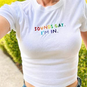 May include: White crop top with the embroidered text "SOUNDS GAY, I'M IN." The text is in rainbow colors. The shirt has short sleeves and a crew neck.