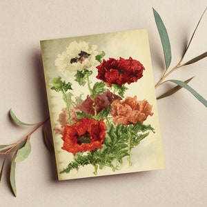Vintage Flower Card • Vintage Botanical Card •  Plant Card • Surreal Floral Bouquet Card • Love Card • Any Occasion