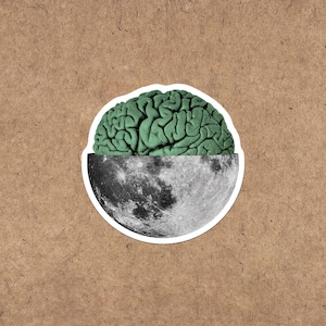 Moon Brain Sticker • CLEARANCE • Space Sticker • Moon Laptop Sticker & Water Bottle Sticker • Moon Decal