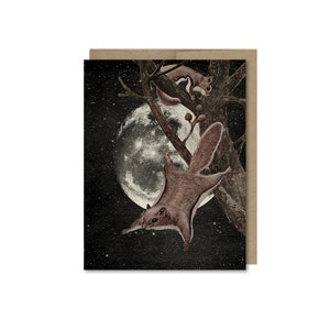 Flying Squirrel Card • Animal Card • Any Occasion