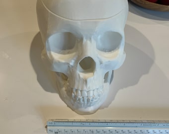 Skull Candy Bowl.  Highly detailed 3D print with a lid. Perfect for Halloween or Day of the Dead celebrations.  3D printed out of PLA.