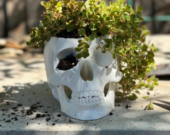 Gothic Skull Planter - Unique Home Decor for Succulents and Indoor Plants