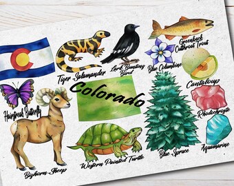 Colorado State Postcard - Thick Cardstock - 4x6 - Watercolor