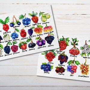 Wild Berries Postcard - Thick Cardstock - Two 4x6 Watercolor Postcards