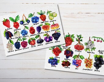 Wild Berries Postcard - Thick Cardstock - Two 4x6 Watercolor Postcards