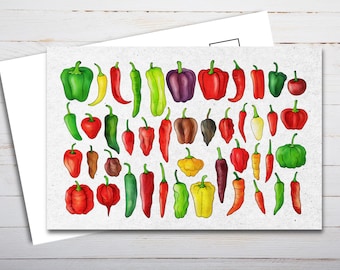 Chili Peppers Postcard Watercolor - Thick Cardstock - Gift for loved ones