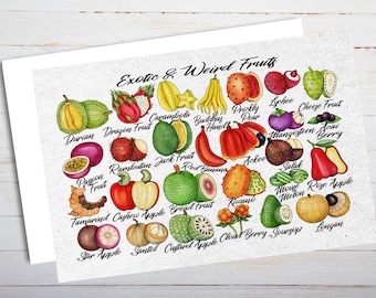 Exotic & Weird Fruits Postcard - Thick Cardstock - Gift for loved ones