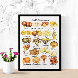 Edible Mushrooms Art Print | 8 x 10 Vintage Kitchen Wall Art | Watercolor Mushroom Poster