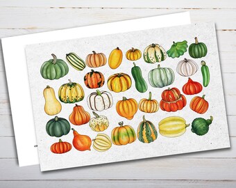 Pumpkins And Squash Postcard - Thick Cardstock - Gift for loved ones